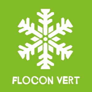 Logo flocon vert